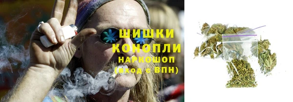 соль ск Вяземский