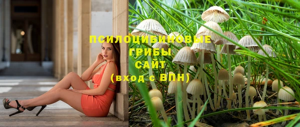 соль ск Вяземский