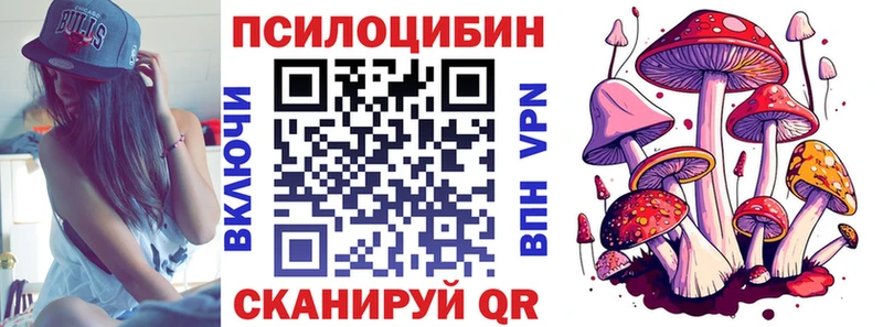 дарнет шоп  Сосновоборск  Псилоцибиновые грибы Psilocybine cubensis 