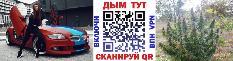 Конопля конопля  Сосновоборск 